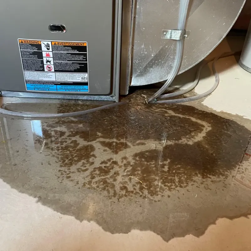 Appliance Leak Cleanup in White Sulphur Springs, MT